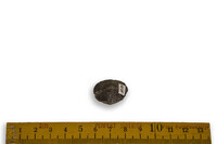 F 00910
<br/>
<br/>
<em></em>